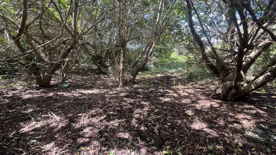 Commercial Property for Sale in Paradise Beach Eastern Cape
